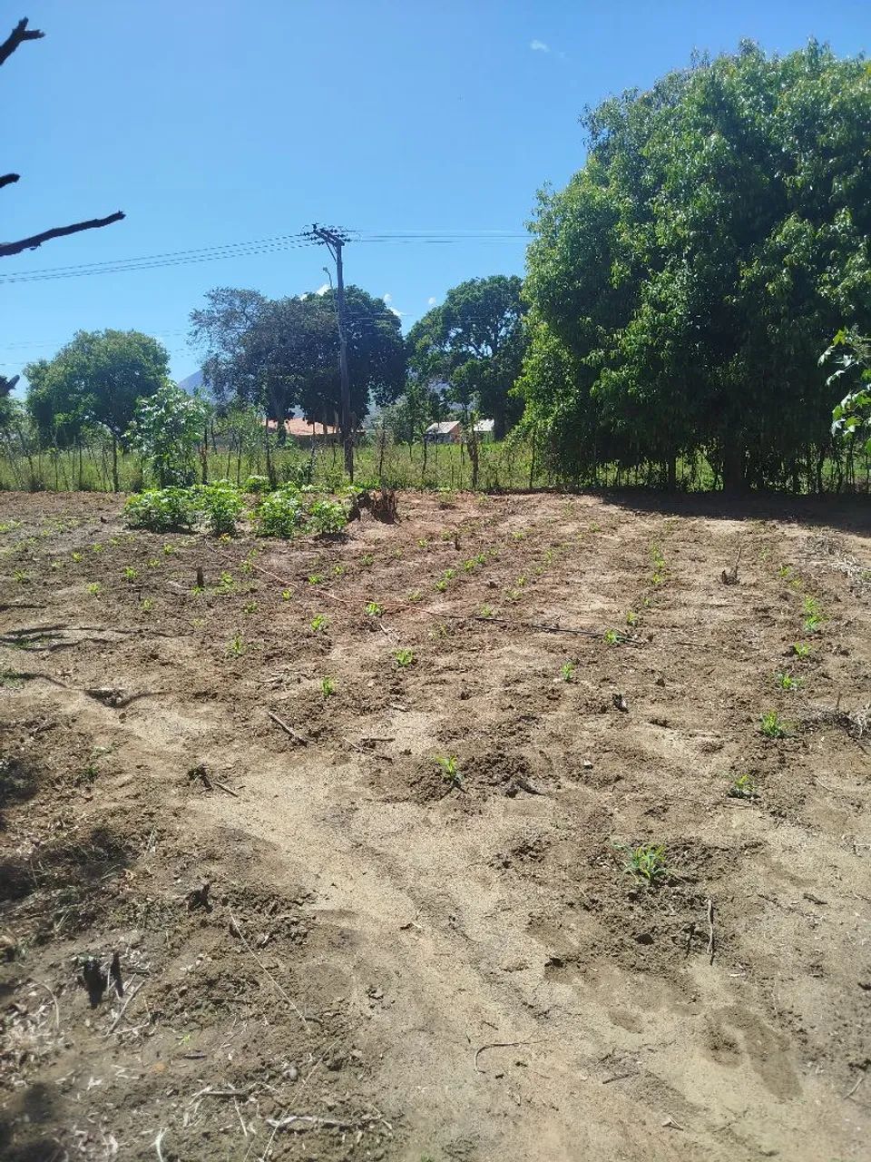 Sítio lagoinha - Nova Iguaçu - RJ