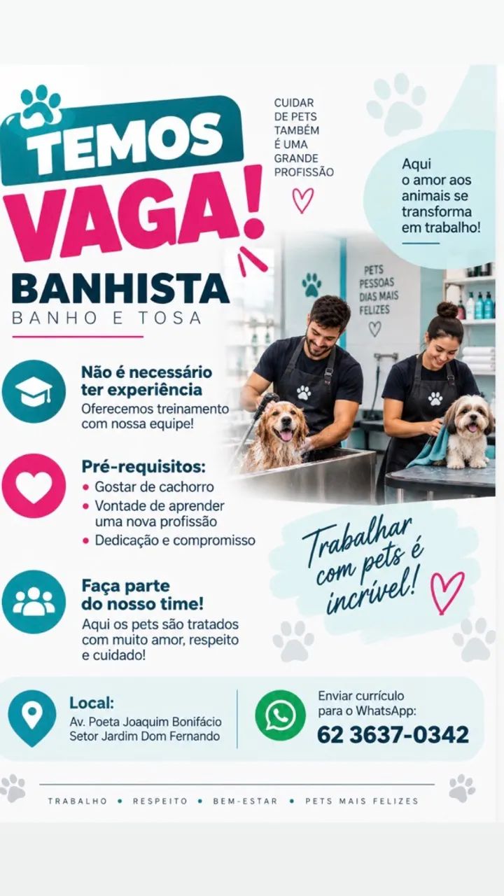Banhista Pet Sem Experiência 