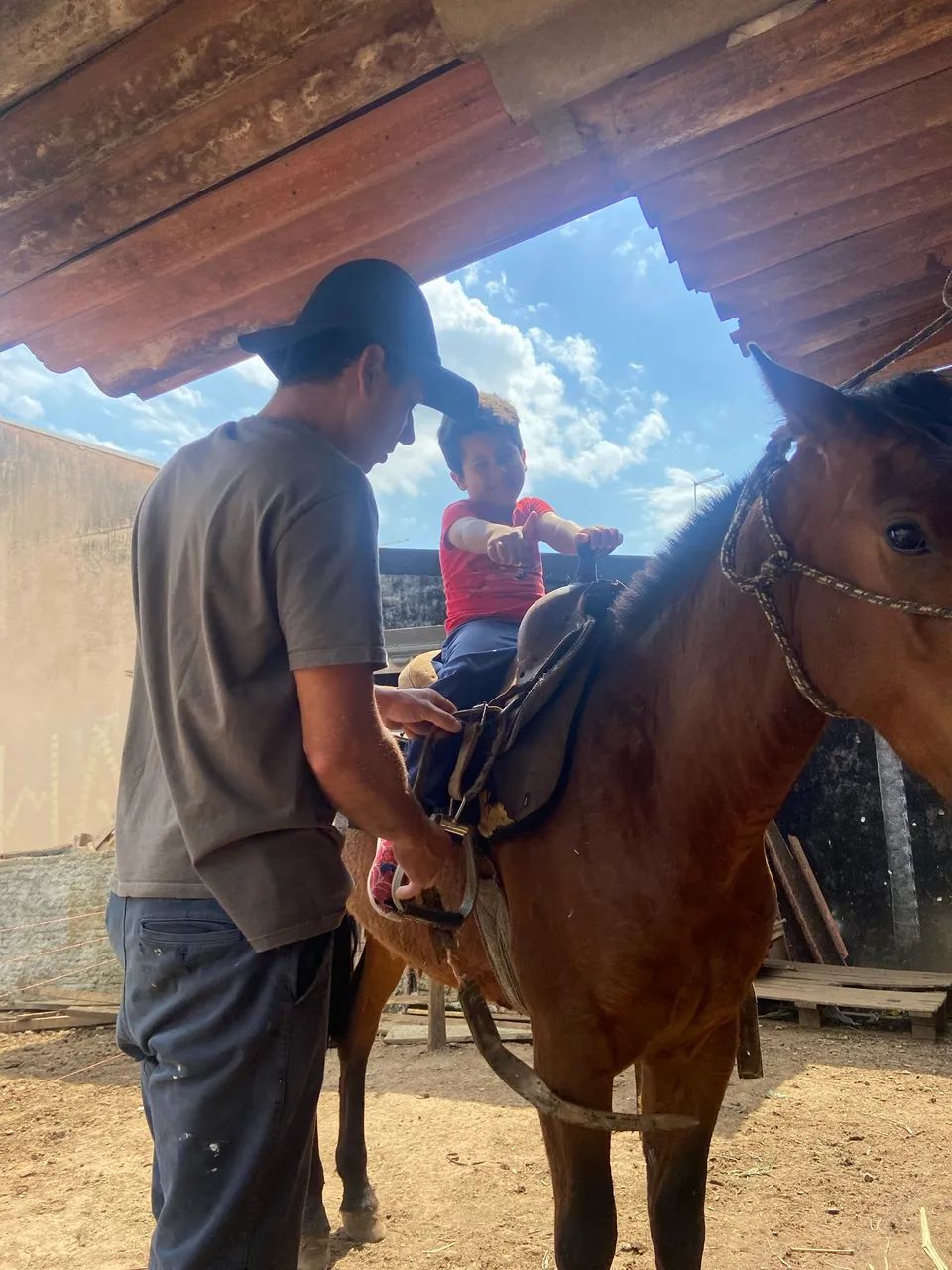 Cavalo crioulo manso e de confiança pra criançada  - Foto 3