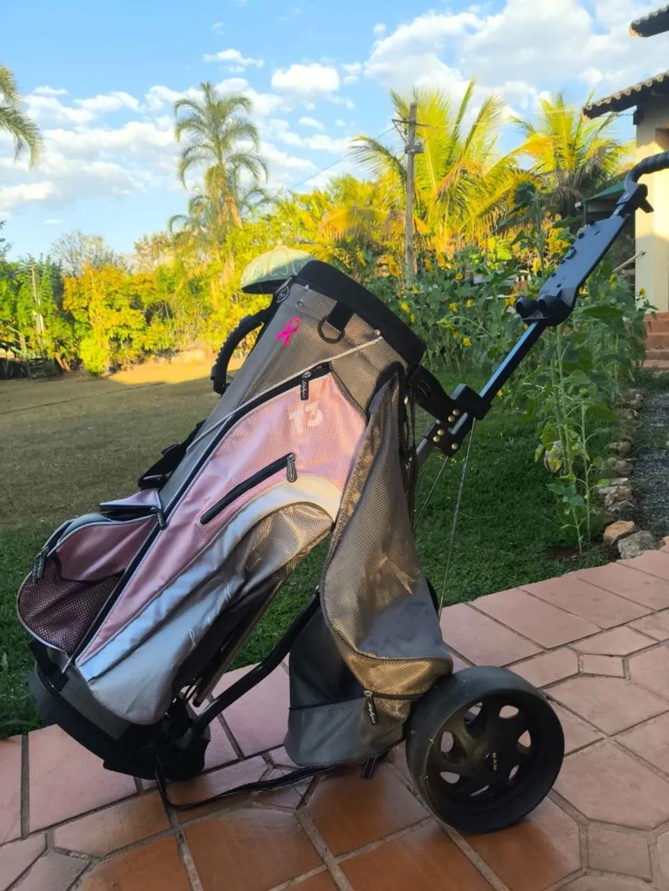Kit tacos de golf com carrinho, bolsa e bolas - Foto 2