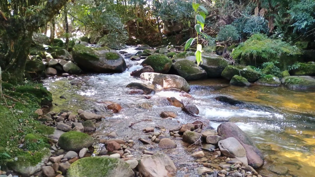 ANITÁPOLIS/SC- RANCHO QUEIMADO - Belíssima Oportunidade sitio pronto com 14hrctares - Foto 4