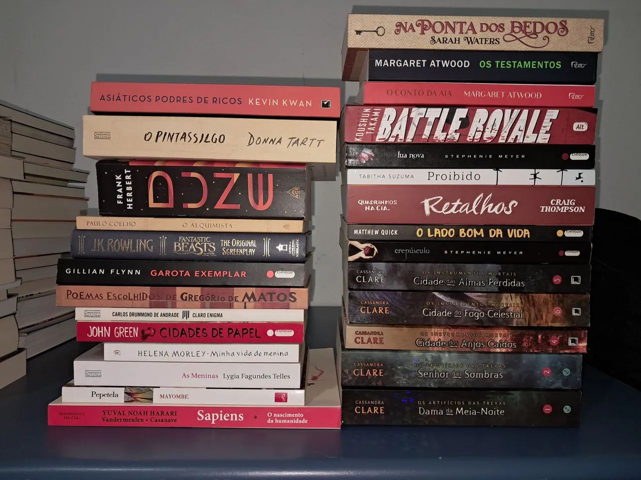 Coleção de livros 