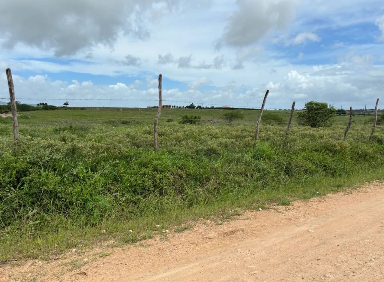 Vendo terreno no povoado Malhada Velha - Foto 4
