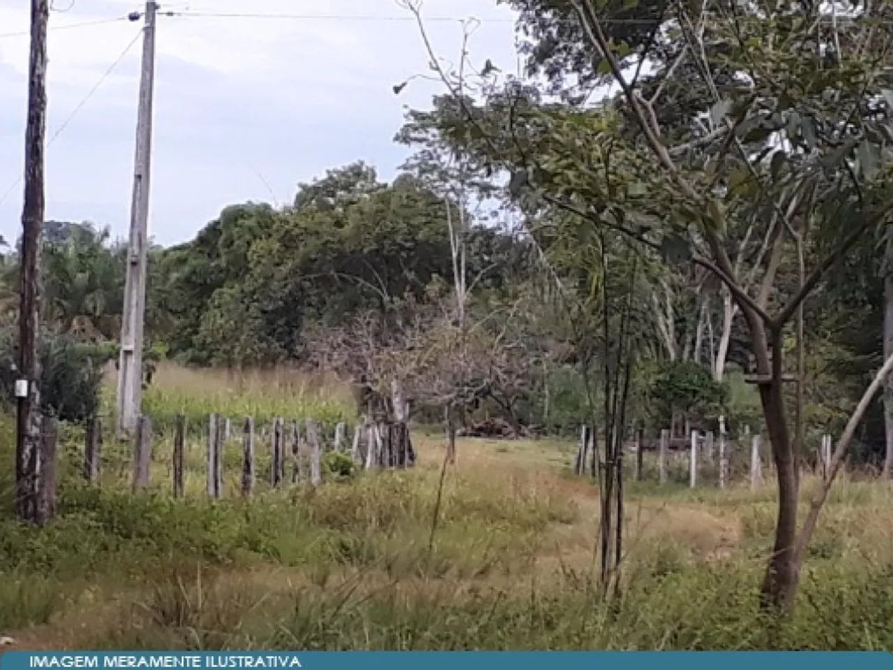 Imóvel Rural 37 ha (Chácara) - Araguatins - TO - Foto 2