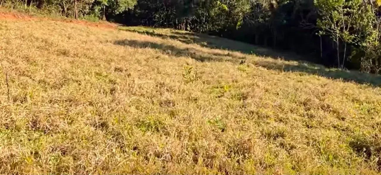 Terreno Nasente da Vida - Foto 5