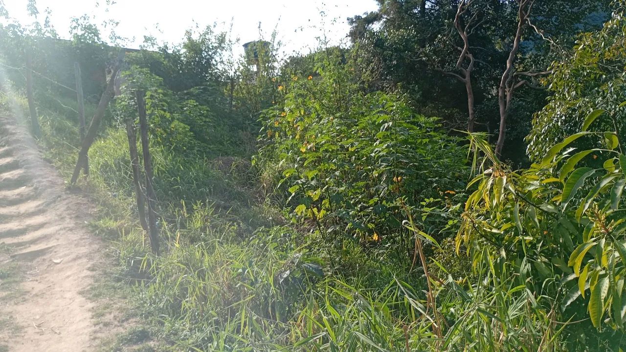 Terreno a venda  - Foto 3