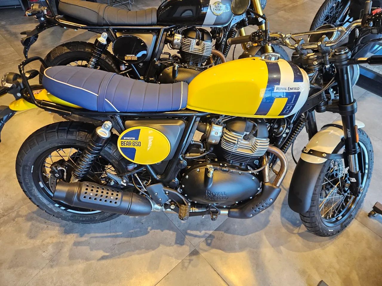 BEAR 650 - 0KM - YAN