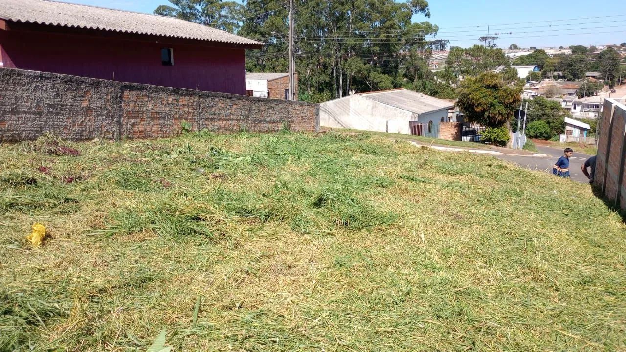 Terreno, lote  - Foto 2