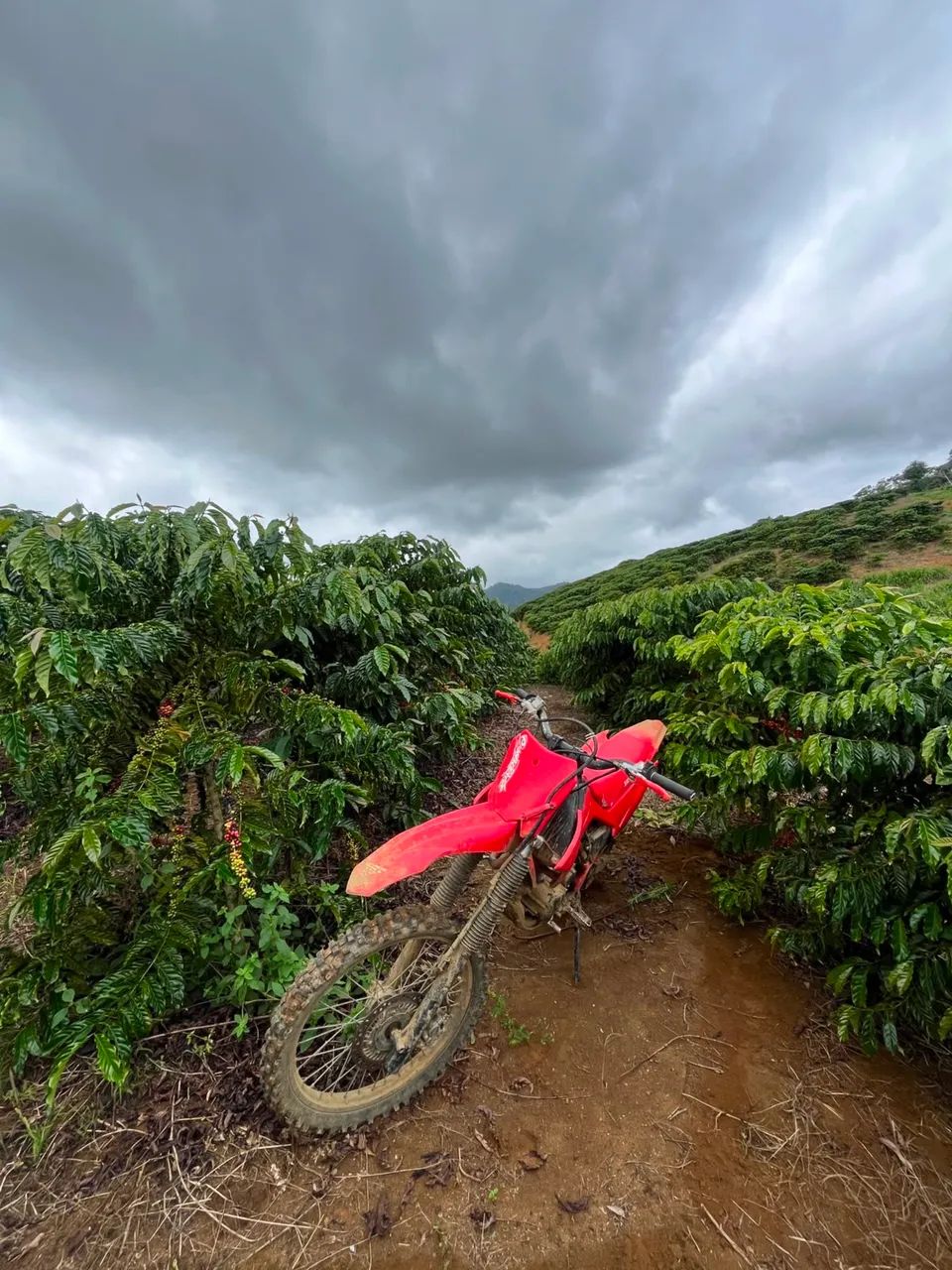 230 no preço  - Foto 4