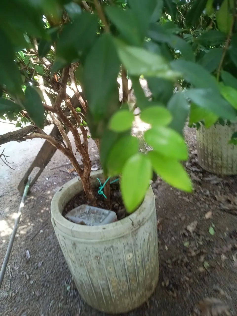 Lote bairro Eldorado  - Foto 2