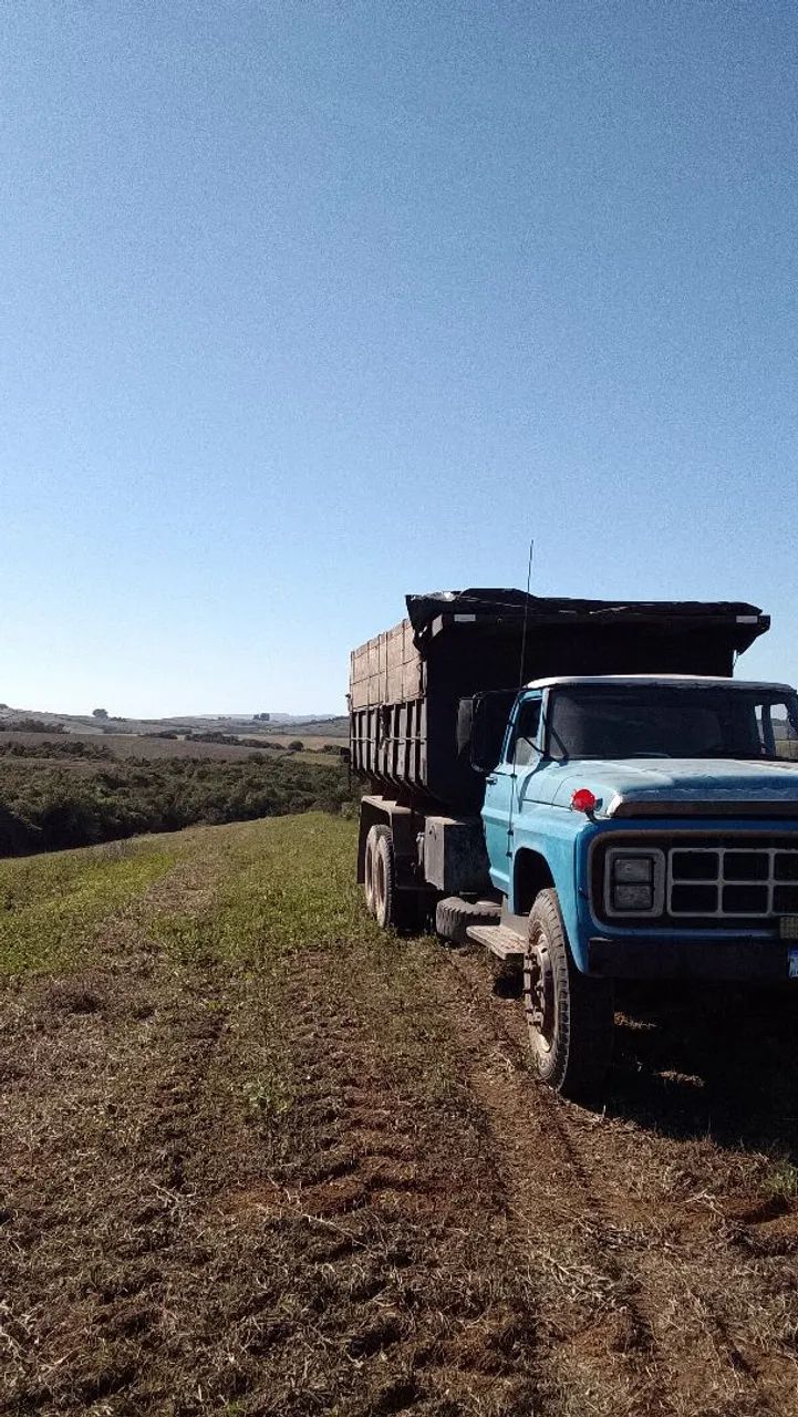 Forzão truck  - Foto 4