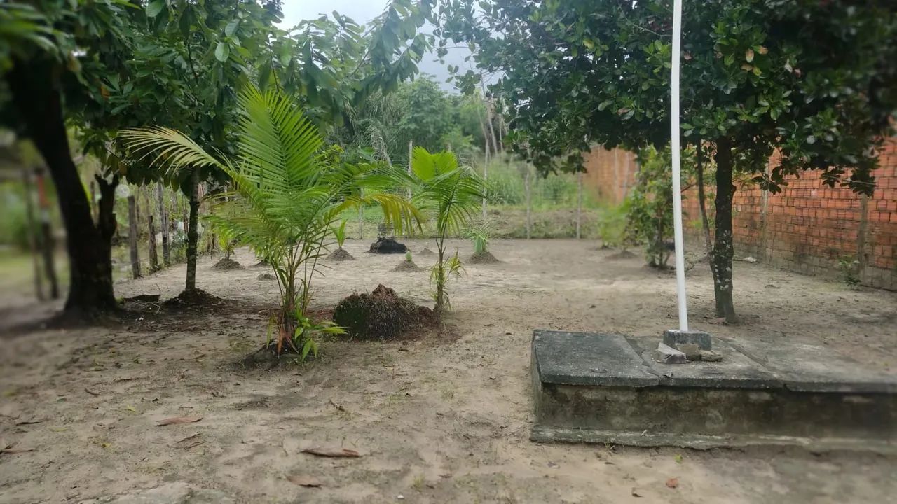 Vendo linda casa - Marudá Vista Alegre - Foto 4