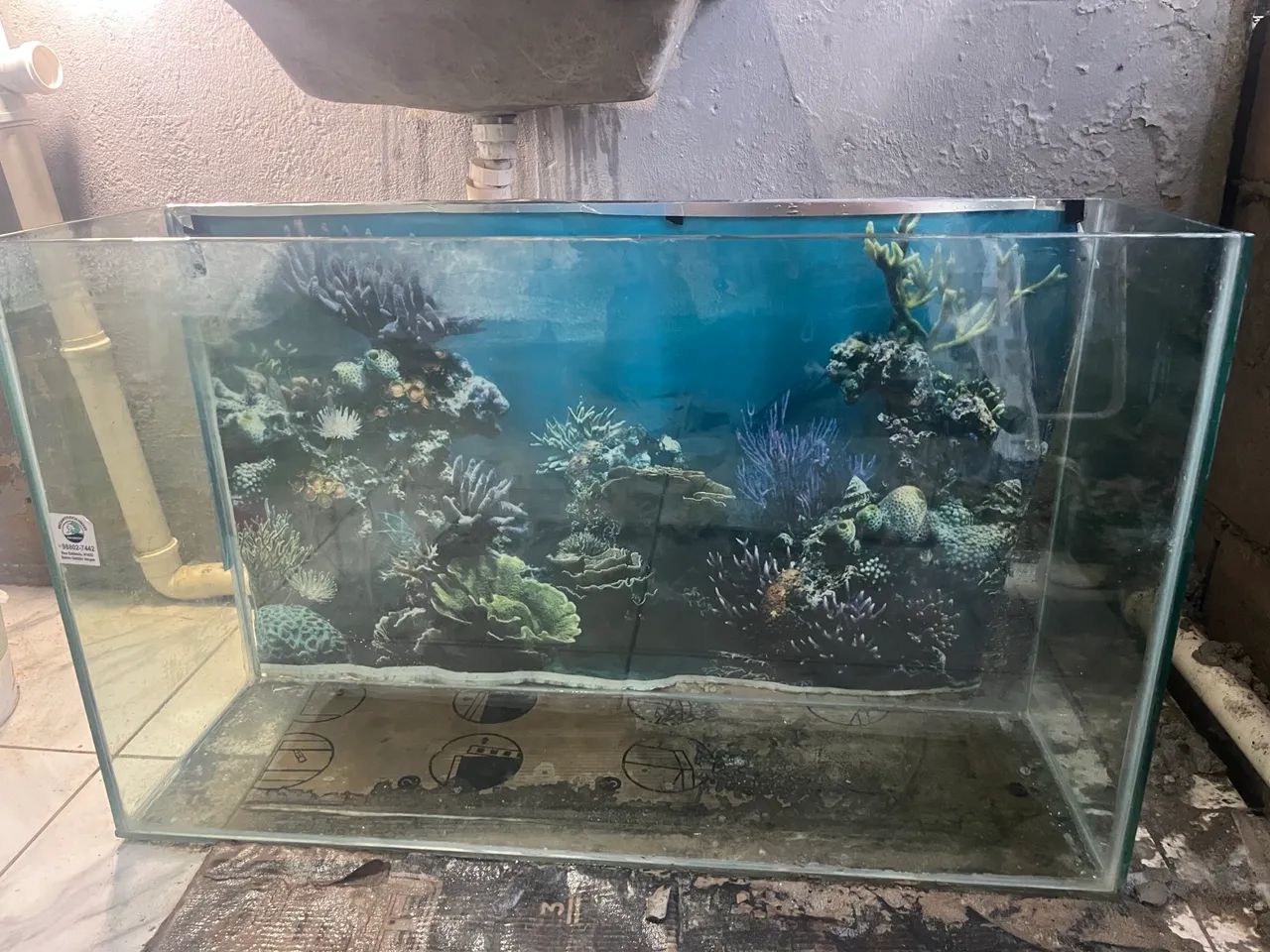 Aguario - Foto 2