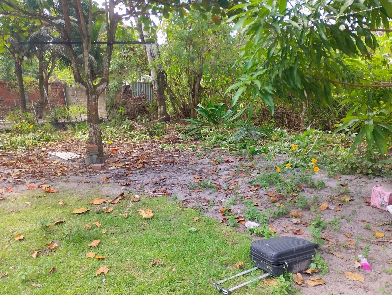 Terreno em um sítio para venda  - Foto 5