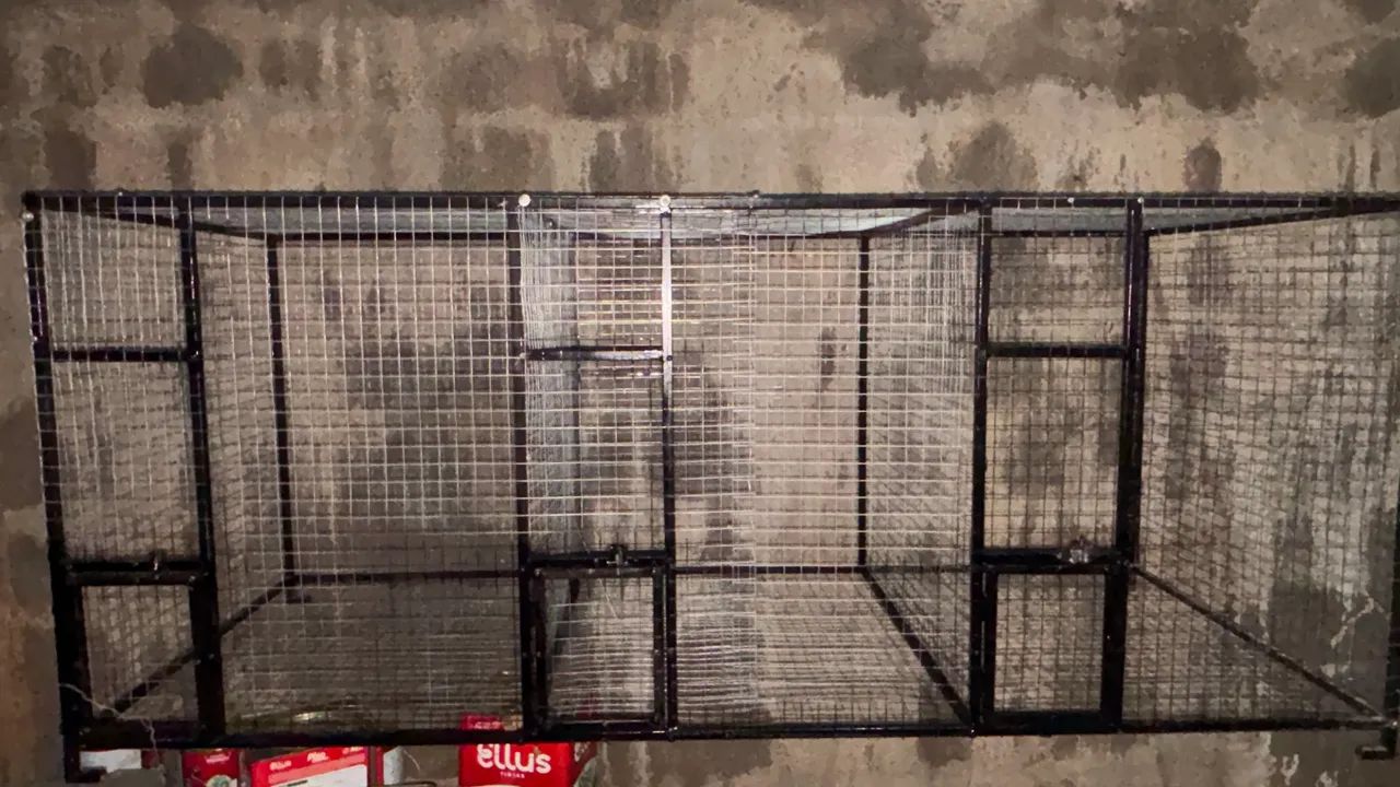 Viveiro ideal para aves  - Foto 3