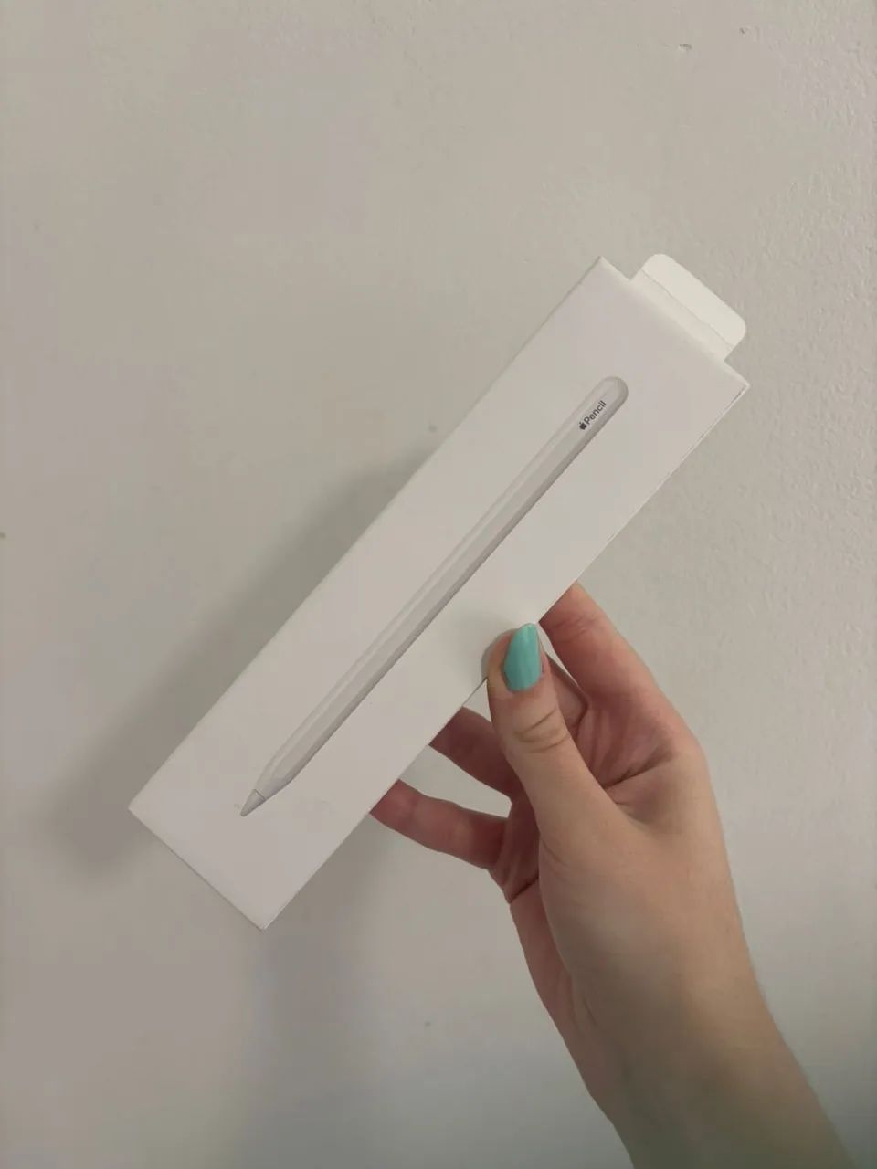 Caneta Apple pen 2ª geração 