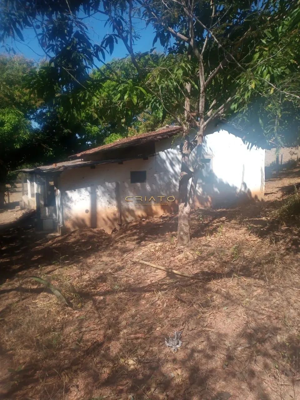 Chácara Com Rio nos Fundos a Venda - Foto 4