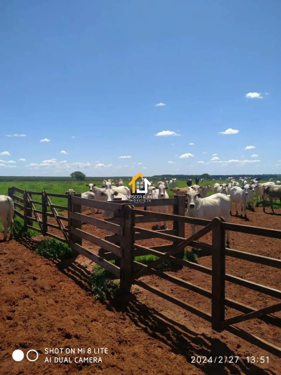 FAZENDA À VENDA  PARANAÍBA/MS