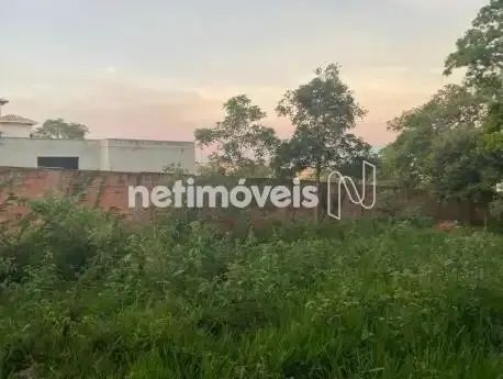 Lote com 1000 m²; no Garças - Foto 5