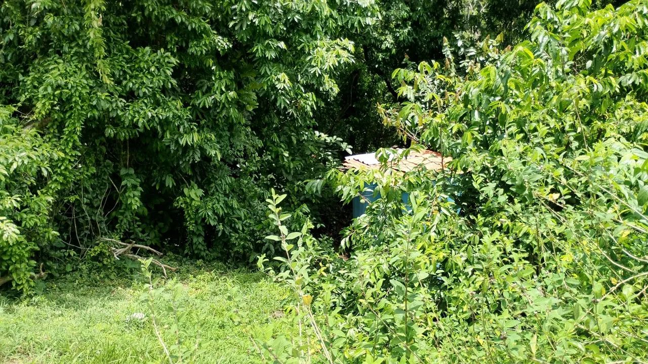 TERRENO CONDOMÍNIO BUGANVÍLLIA  - Foto 3
