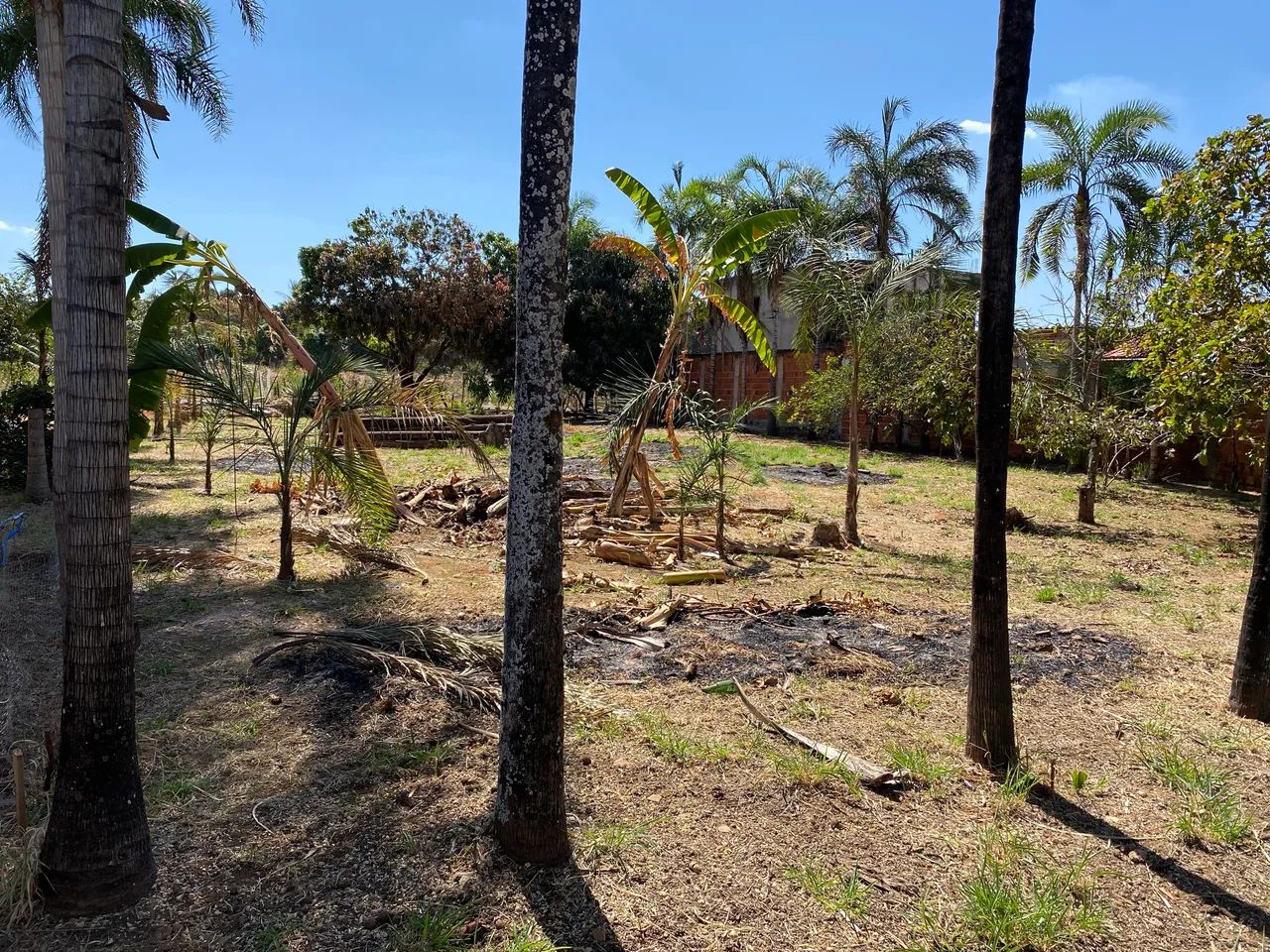 Venda ou troca  - Foto 3