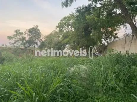 Lote com 1000 m²; no Garças - Foto 4