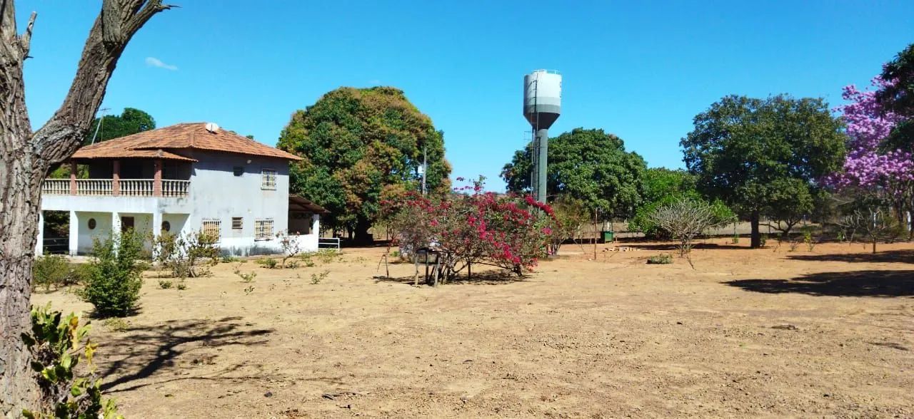 Chácara Nova Betânia DF - Foto 5