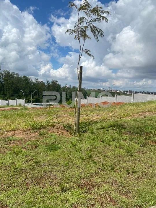 terreno - Jardim Madalena - Campinas