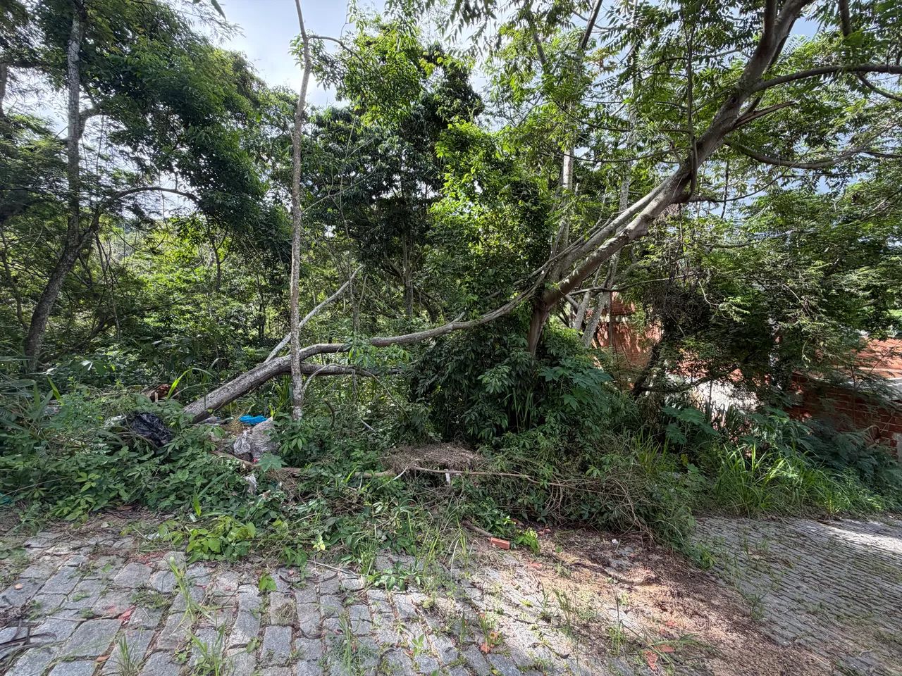 Foto - Rio de Janeiro - Recreio dos Bandeirantes