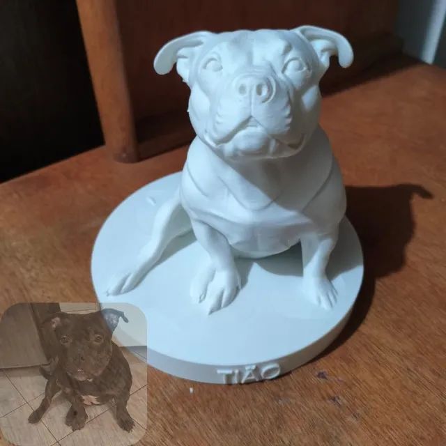 seu pet em peça 3d