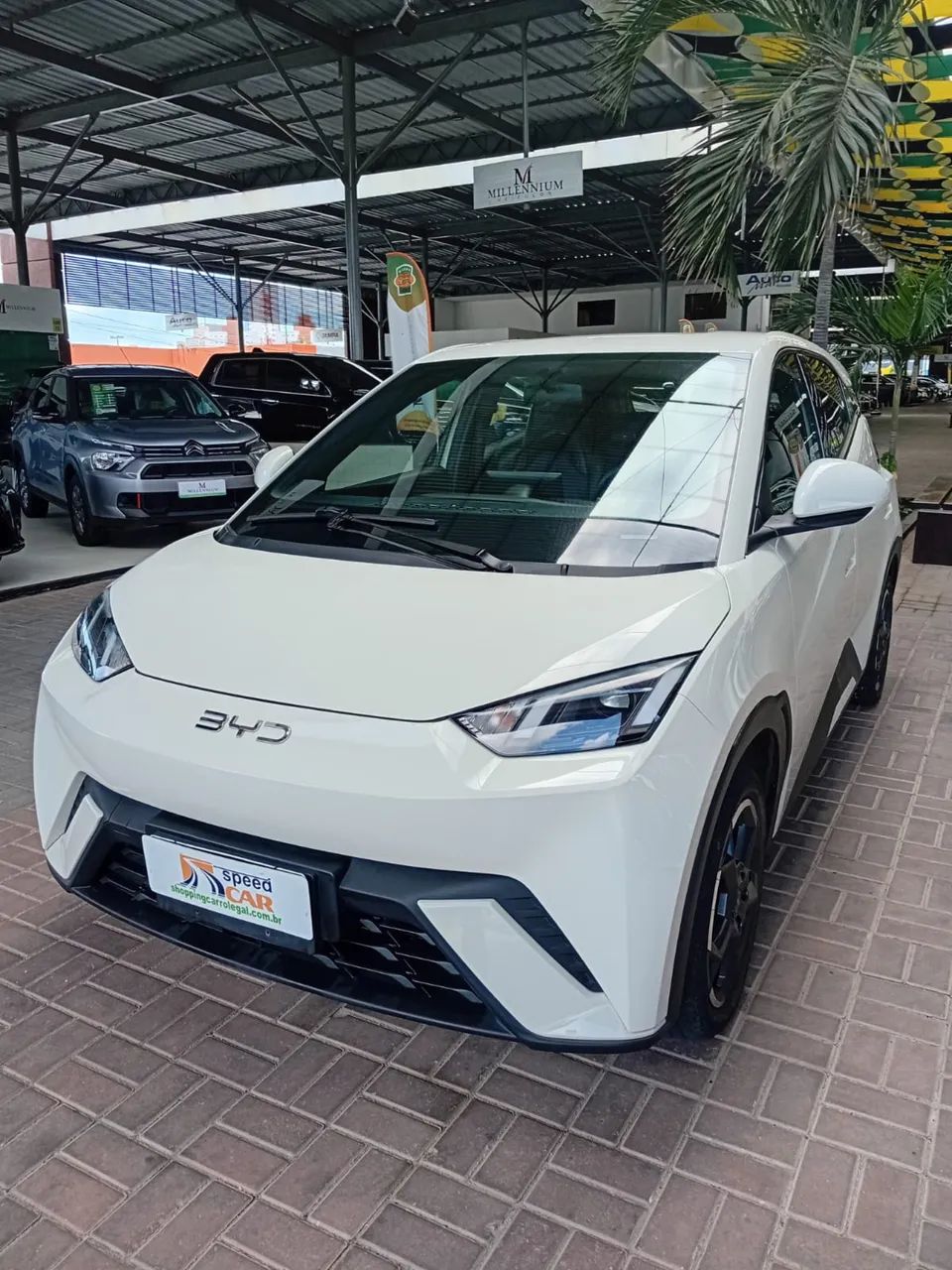 BYD Dolphin Mini (Elétrico) 2025