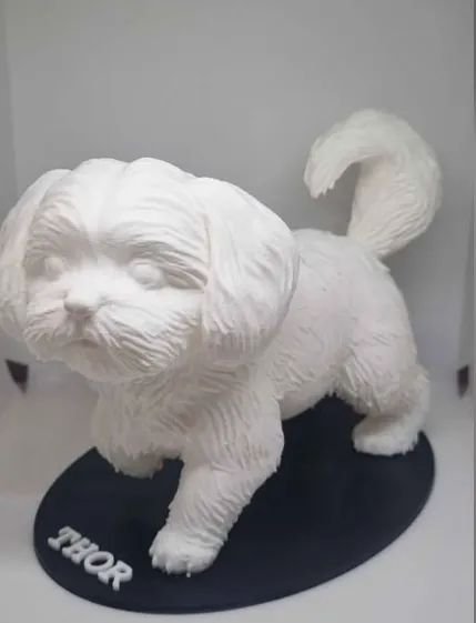 Seu cachorro em 3D - Foto 2