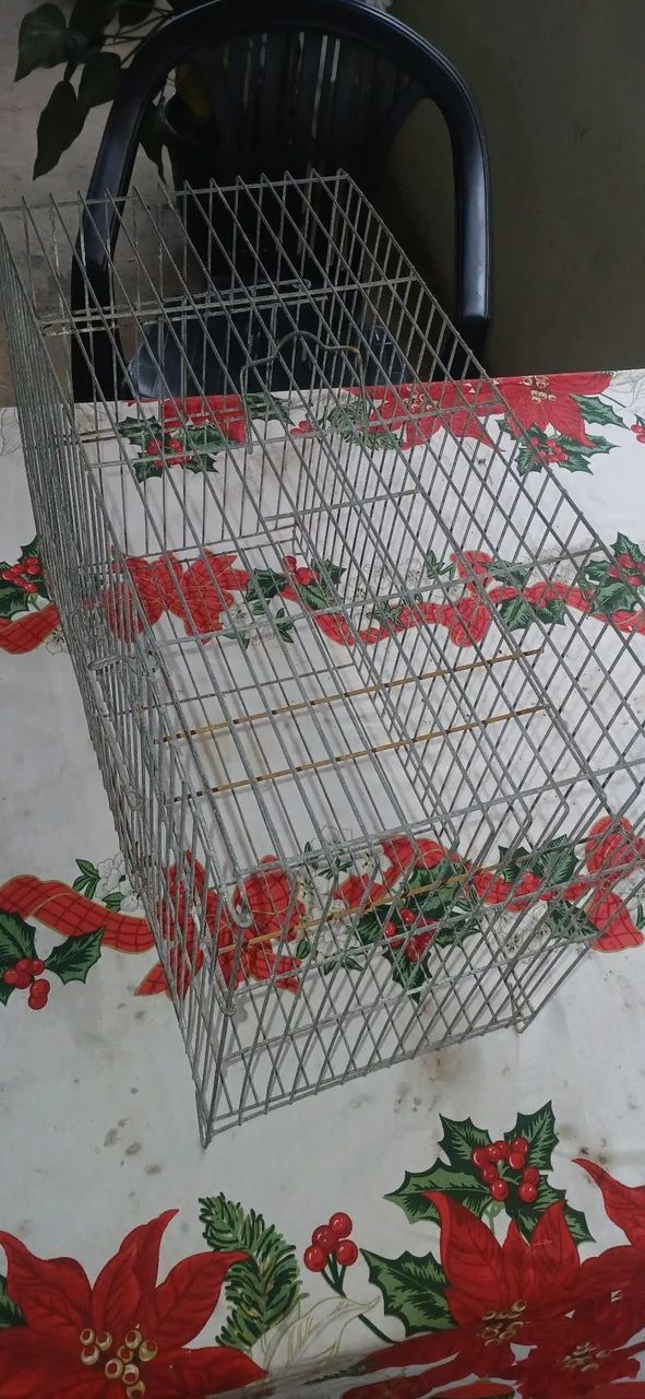 Gaiola e viveiros 