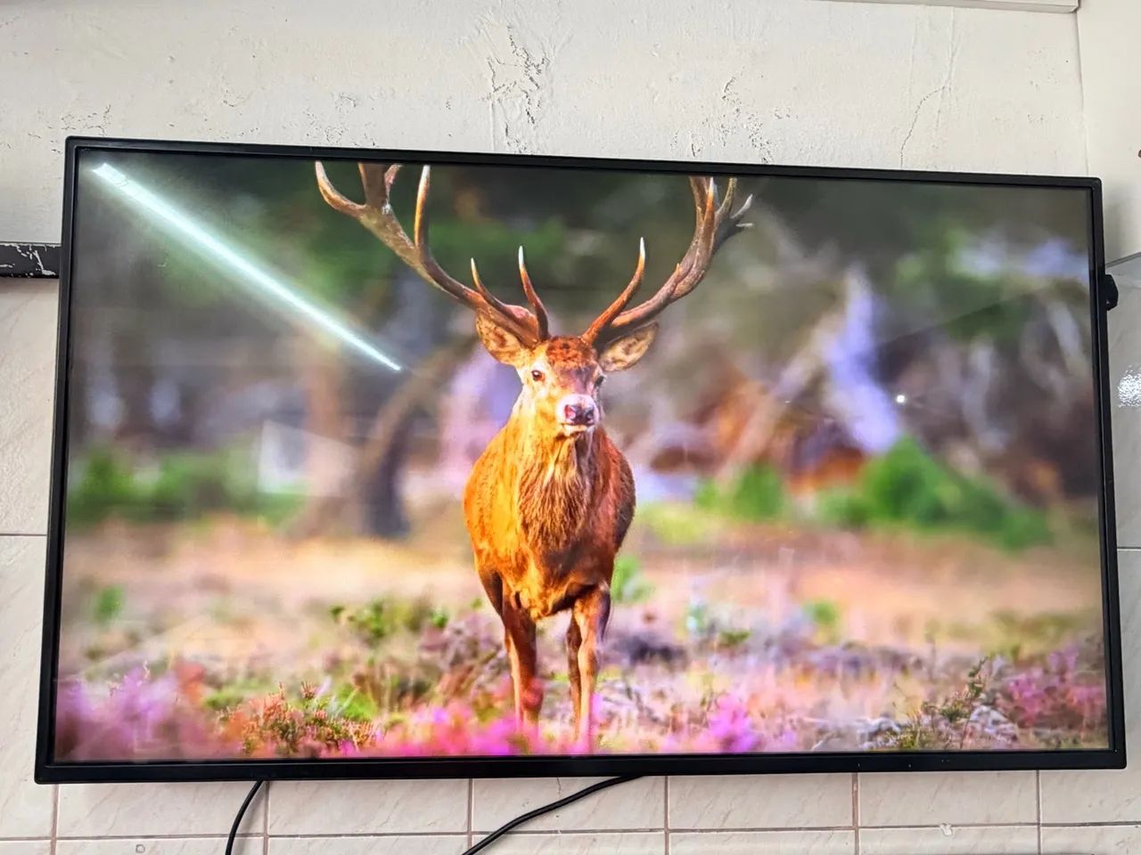 Monitor profissional LG ips full hd 49 polegadas  - Foto 4