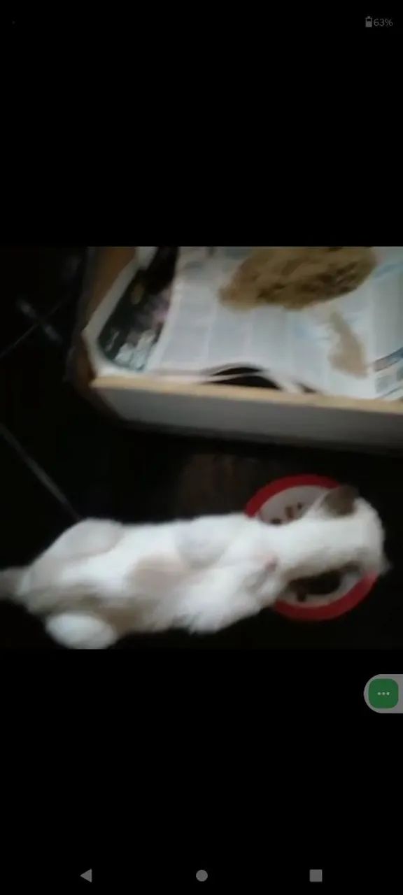 Abandonada  - Foto 5