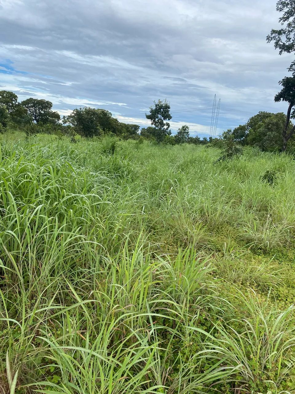 Chácara em colinas do Sul Goiás - Foto 2