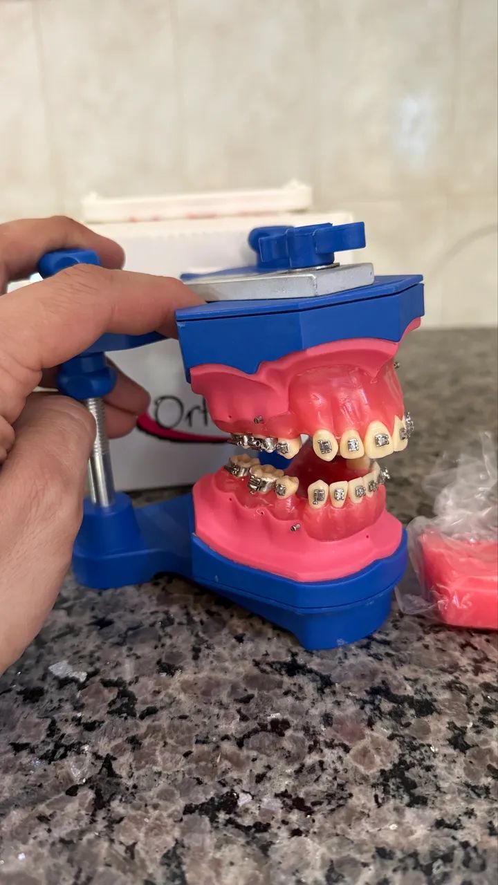 Manequim odontológico 