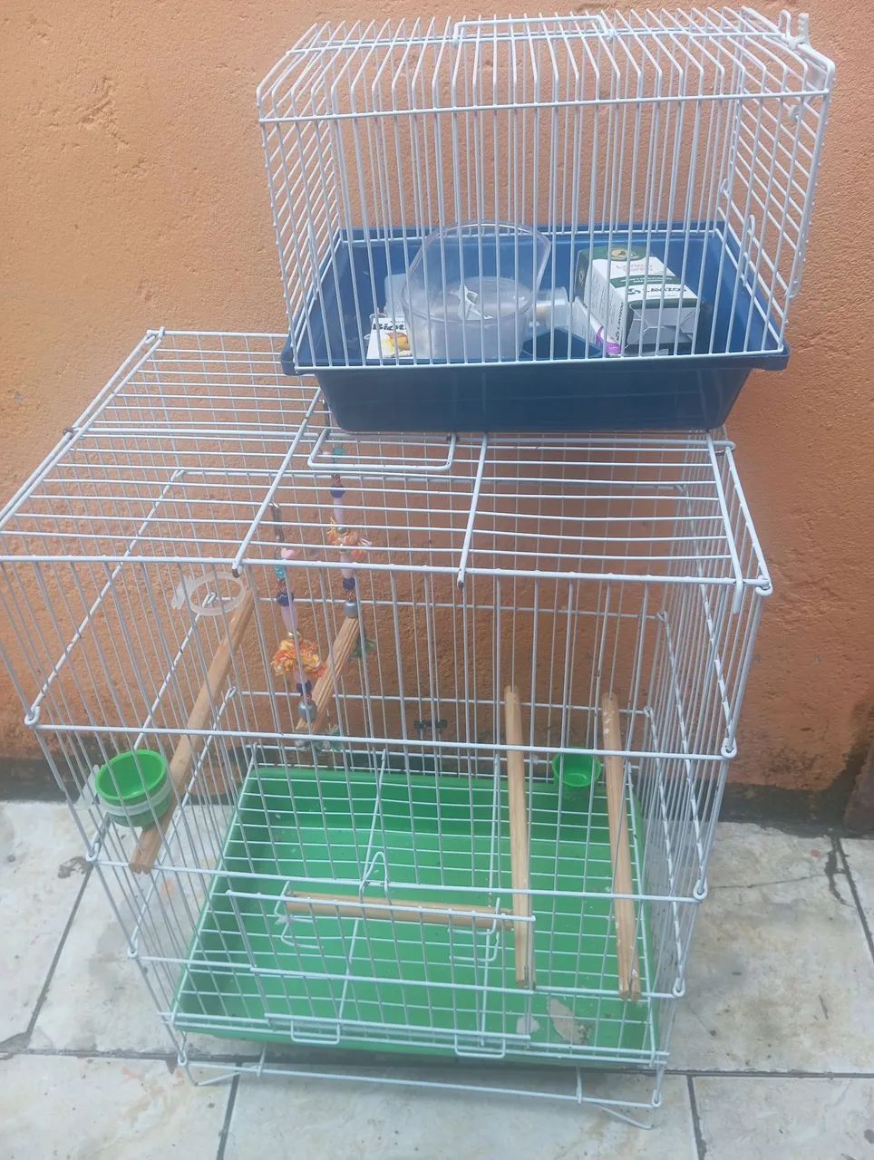 ? KIT COMPLETO PARA CALOPSITA - PRONTO PARA USO ? - Foto 3