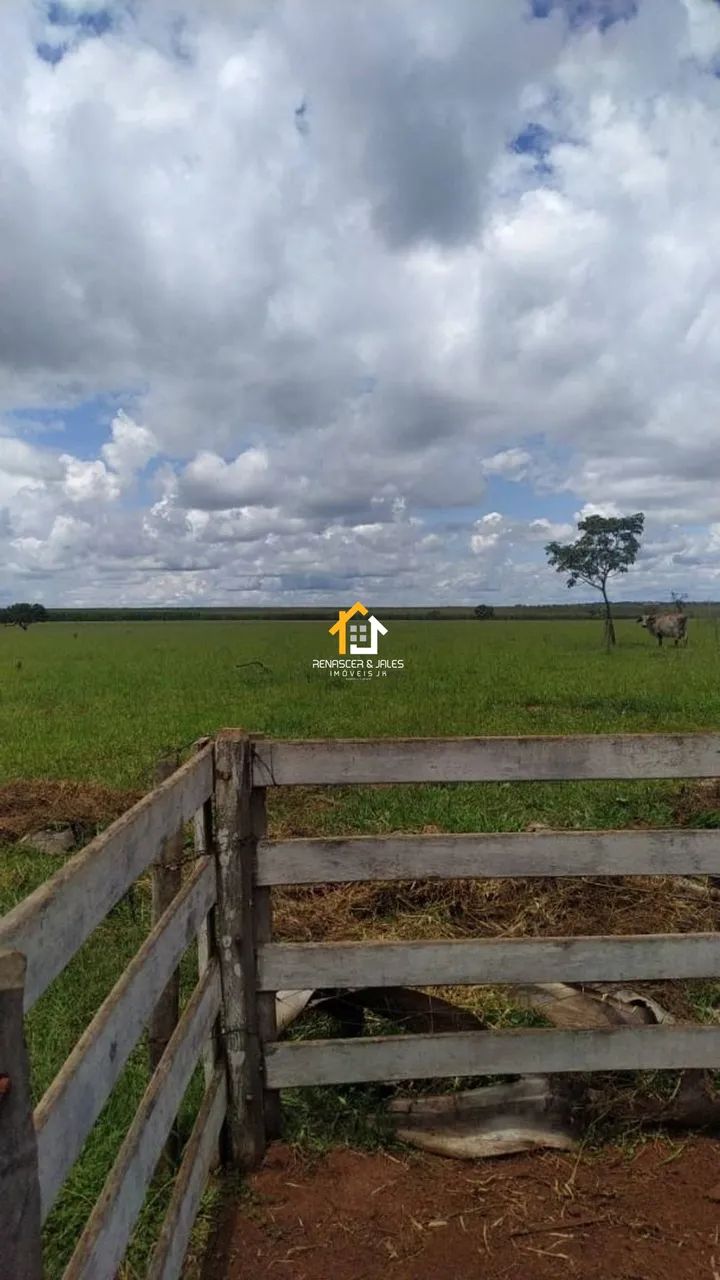 FAZENDA À VENDA  PARANAÍBA/MS - Foto 2