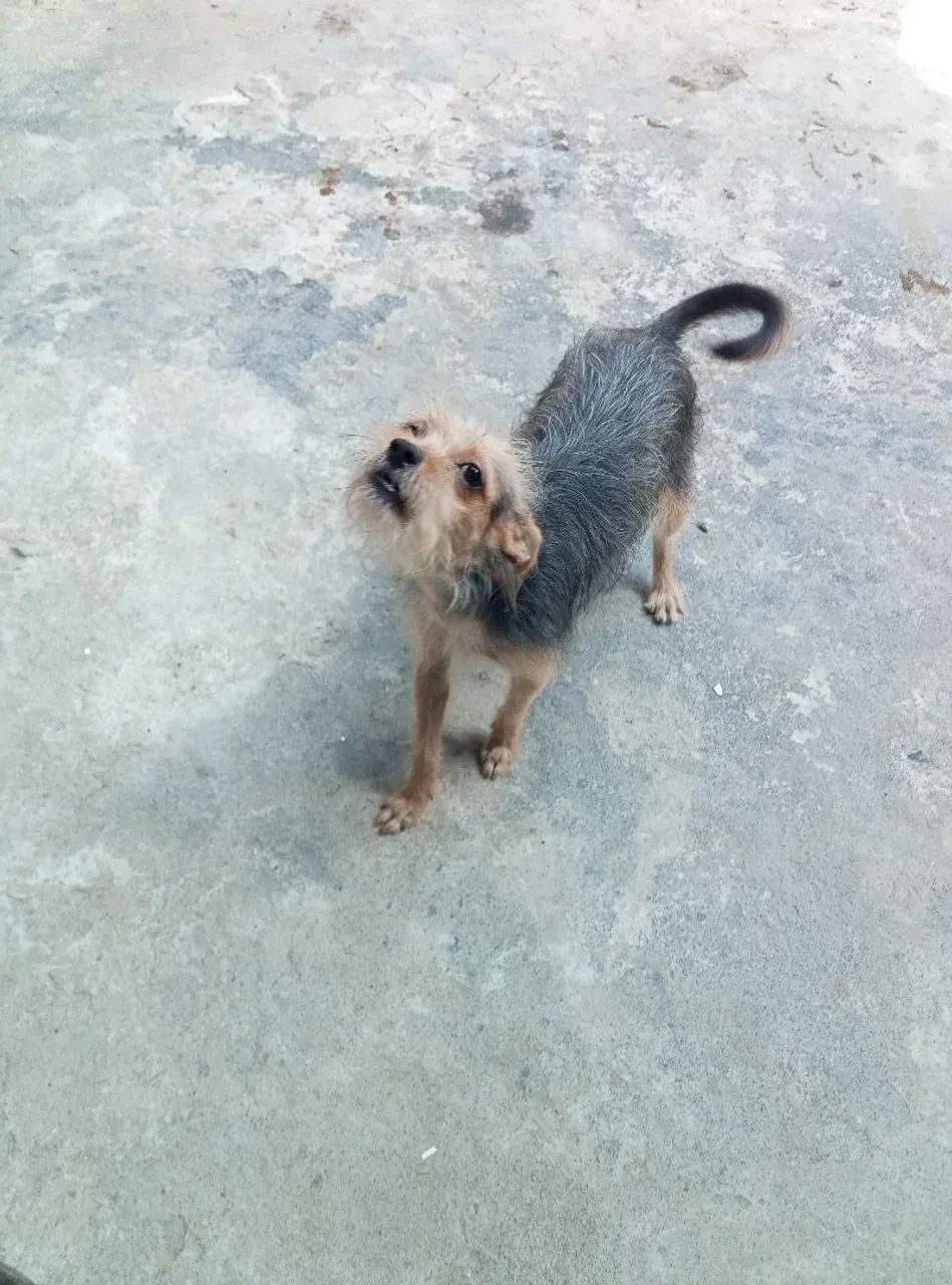 Doação  - Foto 2