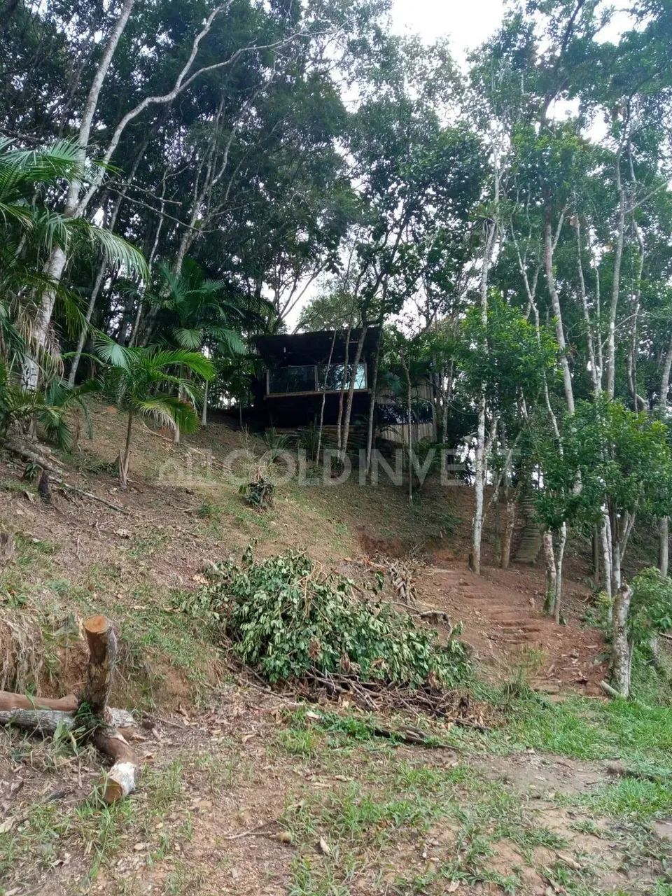Sitio na Limeira com 10.000,00 m² - Foto 2