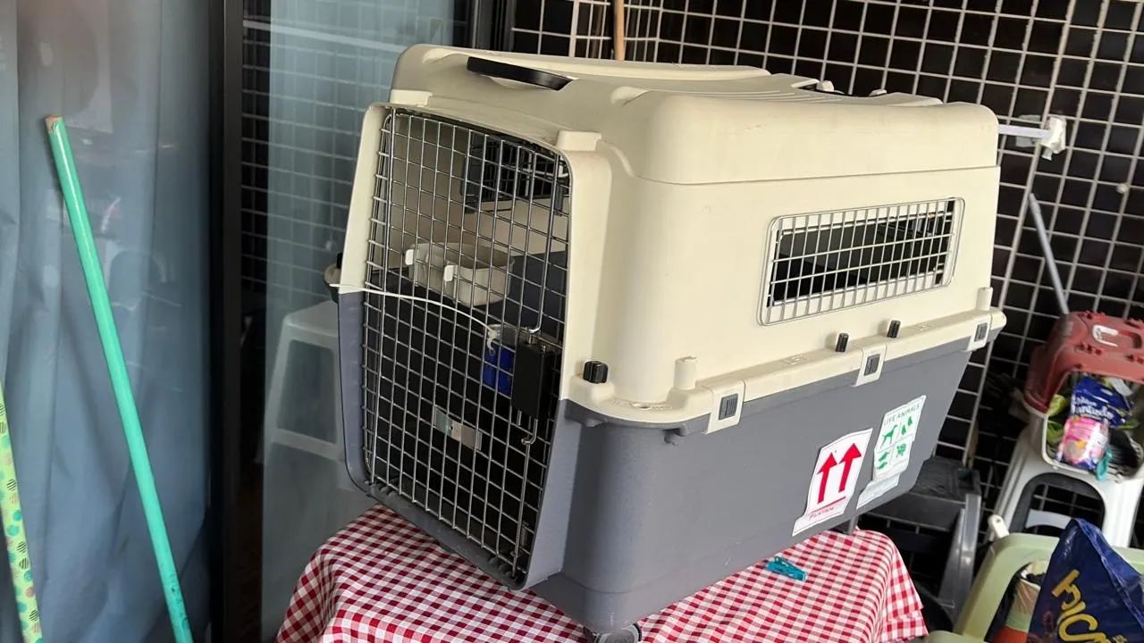 Caixa para levar animais  - Foto 2