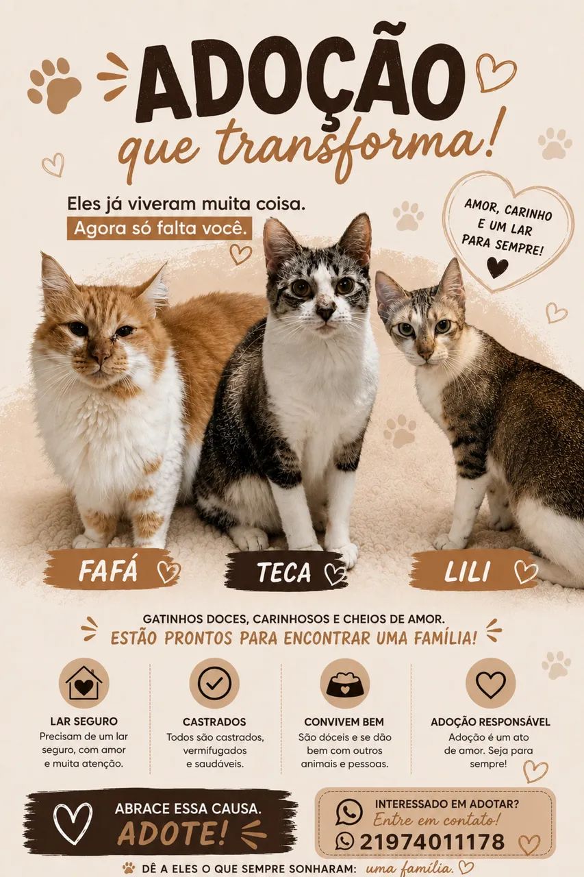 Doação de gatinhas adultas. - Foto 4