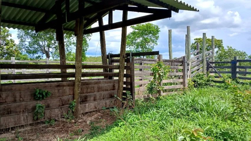 Sitio a venda na regiao de Padre Bernardo go  - Foto 5