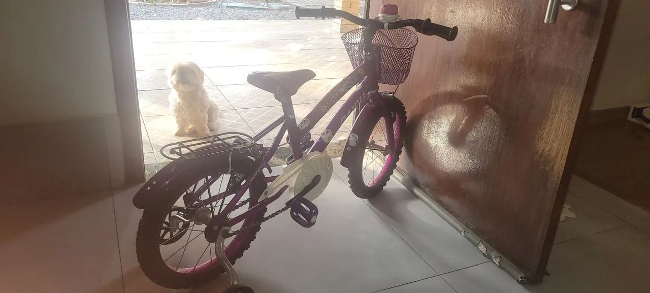 Bicicleta aro 16 - Foto 4