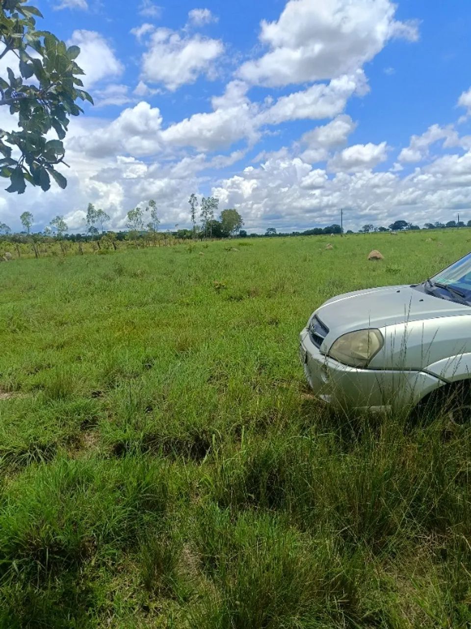 Chácara a venda em Divinópolis Tocantins  - Foto 5