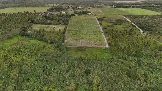 Granja com 12 hectares em punau