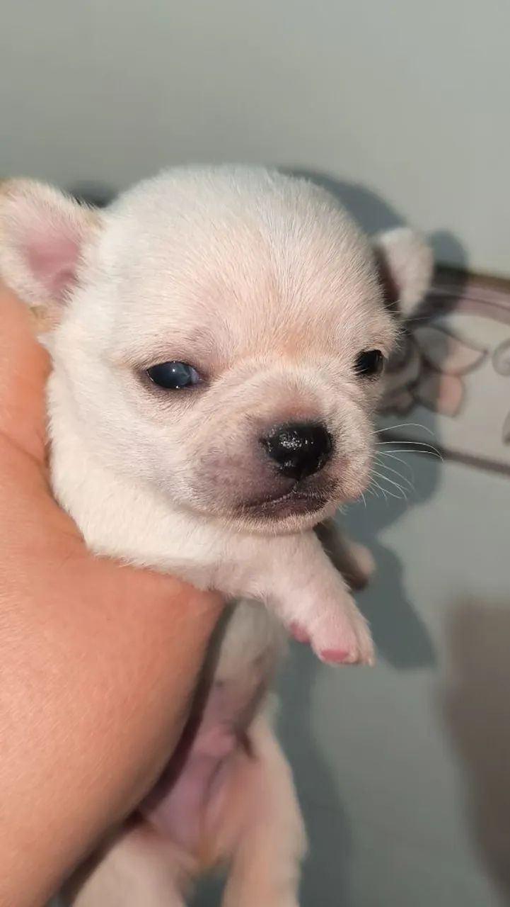 Babys - Foto 4