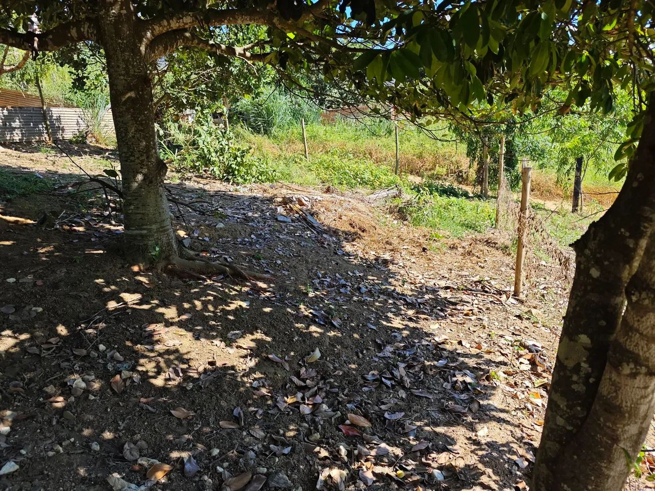 Lote  - Foto 2