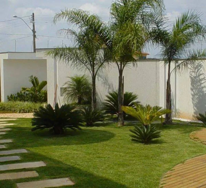 Jardinagem  - Foto 3
